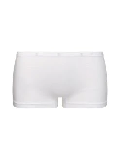 Seidensticker Micro Flex Panty -SPANX-Shop Seidensticker F1 Micro Flex Panty weiss 600002 01 5